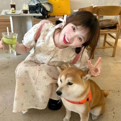 叠影狂花